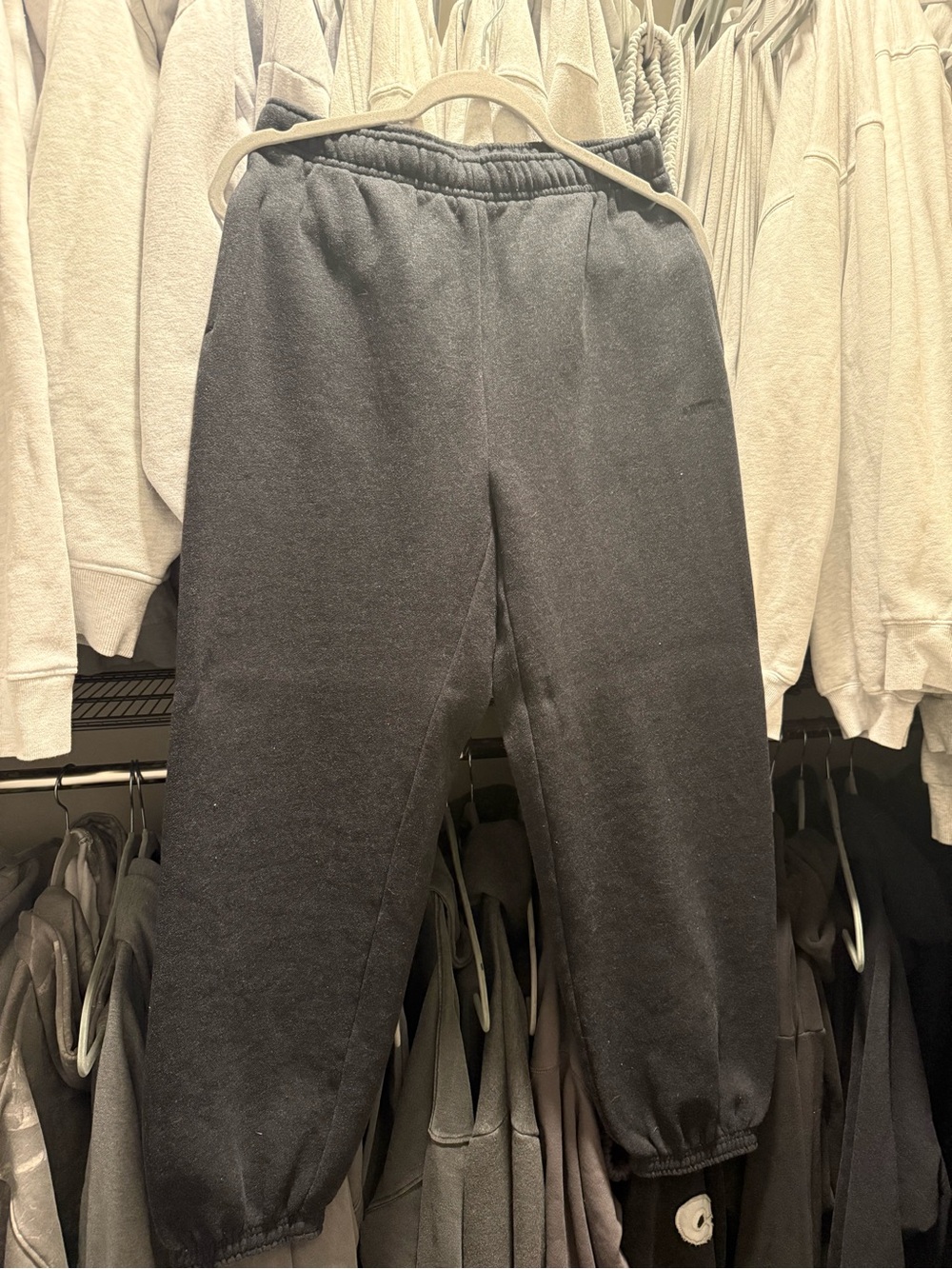 Aritzia Mega Sweatpants
